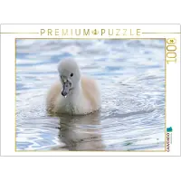 CALVENDO Puzzle Schwanenküken | 1000 Teile Lege-Größe 64x48cm Foto-Puzzle für glückliche Stunden