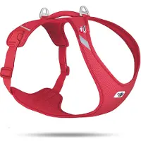 Curli All New Belka Comfort Red XL