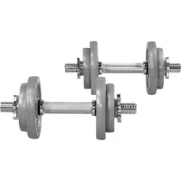 Gorilla Sports Kurzhanteln 20 kg, 2er Set, mit Gusseisen-Hantelscheiben 30 mm, 2 Kurzhantelstangen, 4 Sternverschlüssen, gerändeltem Griff