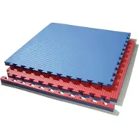 Toorx MAT04-100, Universal-Trainingsmatte, Blau, Rot, 1000 mm, 1000 mm, 4 cm, 4,5 kg