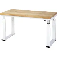RAU Werkbank adlatus 600 elektrisch höhenverstellbar Buche-Massiv-Platte 1500 mm x 700 mm