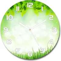 Tulup Wanduhr aus Glas 30fi Glasbild Glasuhr Gehärtetes Glas - weisse-zeiger - Leaves and grass