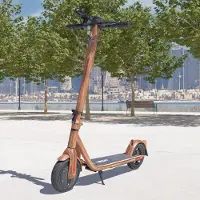 VIRON Elektro Scooter mit Straßenzulassung ABE E-Scooter Aluminium Elektroroller eKFV Zulassung Faltbar Roller EScooter - wood design
