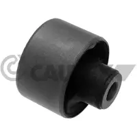 CAUTEX Lagerung Lenker 755572 für Toyota Hinterachse Beidseitig
