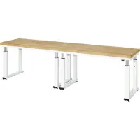 RAU Werkbank elektrisch höhenverstellbar, B3000xT700xH740-1140mm, B-Platte-40 mm