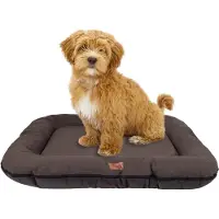 BOUTIQUEZOO Hundebett - Wasserfest, Waschbar Hundematte aus Codura | In & Outdoor für mittelgroße Hunde | Farbe: Braun, Größe M: 80 x 65 cm
