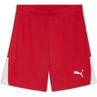 Puma Shorts Liga