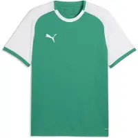 Puma teamLIGA26 Matchday Jersey Jr sport green-white-white (05) 116