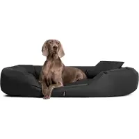 Tierlando Orthopädisches Hundebett SAMMY | Robuster Polyester | Dicke Umrandung - Größe: 140x105cm | Farbe: 40 Anthrazit
