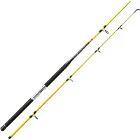 Jenzi Angelrute Continuum Sea 2,40m MH 100-400g