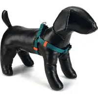 Beeztees Uni - Hundegeschirr - dunkelgrün - 46-75 cm x 20 mm