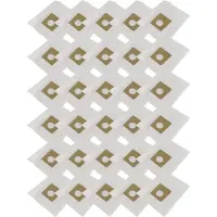 Hossi's Wholesale 30 Premium Staubsaugerbeutel kompatibel für Siemens Super L Electronic 910