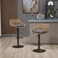 STILVORA Barstühle 2er-Set Barhocker–Esszimmerstuhl Höhenverstellbare Relaxsessel mit Rückenlehne und Fußstütze,Grau