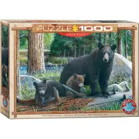 Eurographics Puzzle 6000-0793 - Neue Entdeckungen von Kevin Daniel - 1000 Teile