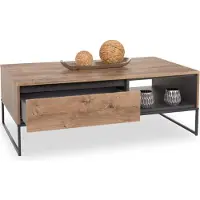 Harper Couchtisch WAKEFIELD LBH 115x65x42 cm braun Wohnzimmertisch