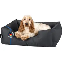 BedDog Hundebett ZARA,(M) ca. 70x55x18cm,GRAFIT (graphit)