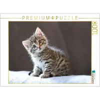 CALVENDO Puzzle Zauberblick | 1000 Teile Lege-Größe 64x48cm Foto-Puzzle für glückliche Stunden