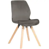 CLP Esszimmerstuhl Luna Modernes Design, Gestell natura, gepolsterter Sitz grau Material Samt