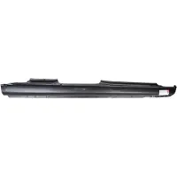 BLIC Einstiegblech 6505-06-3276012K, Rechts