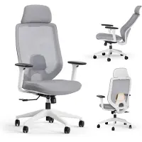 Sense7 Nakai Ergonomischer Bürostuhl Schreibtischstuhl Weiß Grau 3D-Armlehnen Netzrücken Lendenwirbelstütze Chefsessel PC Stuhl Homeoffice 150 kg