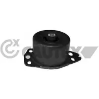 CAUTEX Lagerung Motor 756542 für Fiat Vorderachse