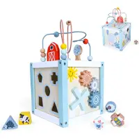 Northio Lernwürfelsortierer aus Holz + Blöcke ECOTOYS
