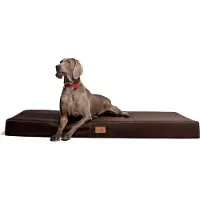 Tierlando Hundematratze HUGO BASIC M L XL XXL 80 bis 150 cm - Größe: 80x60cm | Farbe: 01 Braun
