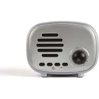 Livoo Lautsprecher Bluetooth FM-Radio Mini-Retro mit Mikro Akku TES202S silber
