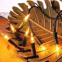 Hellum Lichterkette innen 20 klare warme Lichter, beleuchtet 2,85m, Kabel grün, Stecker