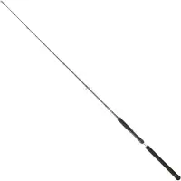 Daiwa Legalis Slow Jigging Rute