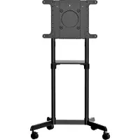StarTech.com .com TV Wagen - TV Ständer mit Rollen für 37-70 Zoll VESA-Displays (70kg)