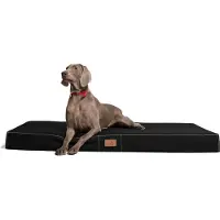 Tierlando Orthopädische Hundematratze HUGO Ortho Plus M L XL XXL 80 bis 150cm - Größe: 80x60cm | Farbe: 03 Schwarz