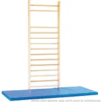 Sport-Tec Sprossenwand nach DIN, BxH 100x260 cm, 16 Sprossen