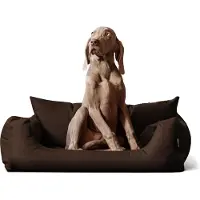 Tierlando NEMO Hundebett Hundesofa S M L Hundekorb Katzenbett 65 80 100cm - Größe: 65x50cm | Farbe: 01 Braun