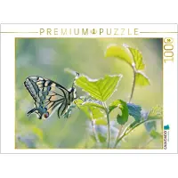 CALVENDO Puzzle Der stolze Schwalbenschwanz | 1000 Teile Lege-Größe 64x48cm Foto-Puzzle für glückliche Stunden
