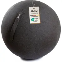 Kettler Herlag Office Ball 65cm Anthrazit Sitzball für ergonomisches Sitzen Gymnastikball Büro & Home Office inkl. Bezug, Innenball, Pumpe, Adapter