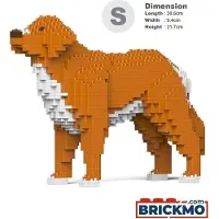 Jekca Bricks Nova Scotia Duck Tolling Retriever 01-M01 ST19PT65