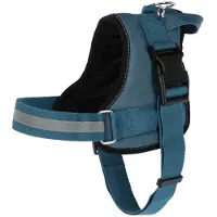 Kerbl Maestro 2.0 Gurtzeug Grün,Blau 38 mm x 83-113 cm Grün,Blau 38 mm x 83-113 cm