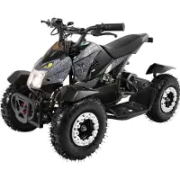 Actionbikes Motors Elektro Kinderquad Cobra | 800 Watt - Pocket Quad bis 24 km/h - Elektroquad - Kinder Fahrzeug - Mini Quad - Elektroauto - Batterie (Grau/Schwarz)