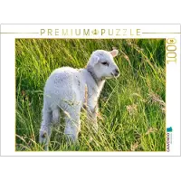 CALVENDO Puzzle Niedliches Schäfchen | 1000 Teile Lege-Größe 64x48cm Foto-Puzzle für glückliche Stunden