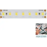 Beneito Faure - LED-Streifen zur Beleuchtung der Fischfuttertheke - 5 m Spule 14,4 W/M 95 LM/W IP20 11.600 K