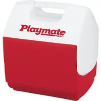 Igloo Playmate Pal 6,6 Liter : Rot Farbe: Rot