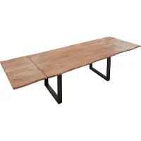 Casa Massiva Baumkantentisch 220 (320) x 90 cm Norina, Akazienholz massiv & stonefarben lackiert, Esszimmertisch inkl. 2 Ansteckplatten, echte Baumkante, Esstisch mit U-Metallgestell in Schwarz