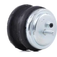 REINHOCH Motorträger RH11-3027 Links