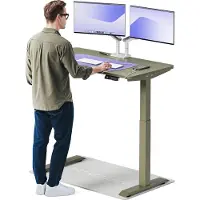 Desktronic HomeOne Elektrisch höhenverstellbarer Schreibtisch 120x60cm Grün/Grün mit Memory-Funktion, Anti-Kollisions Technologie, USB-A und USB-C-Ladeanschlüssen