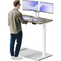 Desktronic HomeOne Elektrisch höhenverstellbarer Schreibtisch 120x60cm Weiß/Grün mit Memory-Funktion, Anti-Kollisions Technologie, USB-A und USB-C-Ladeanschlüssen