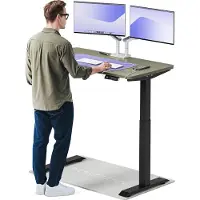 Desktronic HomeOne Elektrisch höhenverstellbarer Schreibtisch 120x60cm Schwarz/Grün mit Memory-Funktion, Anti-Kollisions Technologie, USB-A und USB-C-Ladeanschlüssen