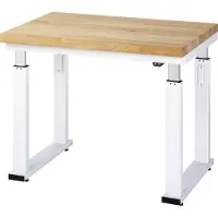 RAU Werkbank adlatus 600 elektrisch höhenverstellbar Buche-Massiv-Platte 1000 mm x 700 mm