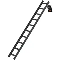 Proregal Dachleiter Anthrazitgrau 10 Sprossen