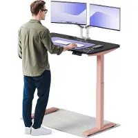 Desktronic HomeOne Elektrisch höhenverstellbarer Schreibtisch 120x60cm Rosa/Schwarz mit Memory-Funktion, Anti-Kollisions Technologie, USB-A und USB-C-Ladeanschlüssen